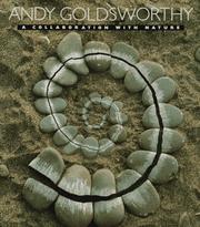  Andy Goldsworthy :