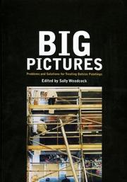  Big pictures :